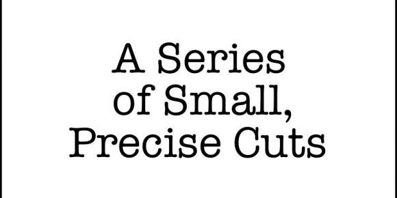 A Series of Small, Precise Cuts