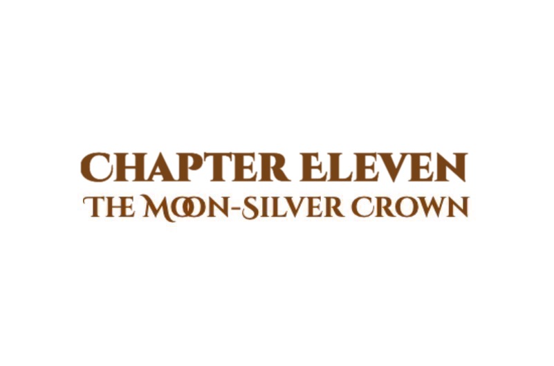 The Moon-Silver Crown: Chapter Eleven