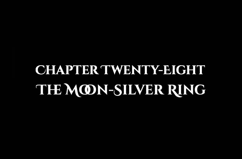 The Moon-Silver Ring: Chapter Twenty-Eight